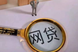 镇海为什么选择专业追讨公司来处理您的债务纠纷？