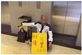 镇海镇海的要账公司在催收过程中的策略和技巧有哪些？